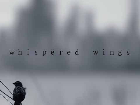 whispered wings // a poem