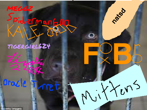 Stop Abandoning Animals!!