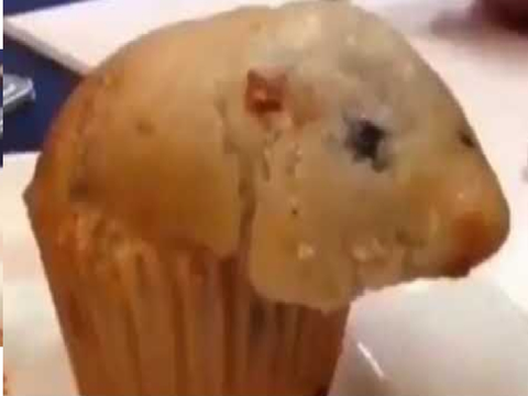 That muffin is looking awfully like a hamster 