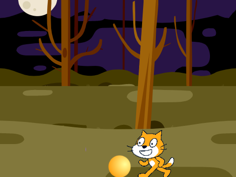 cat kicking ball