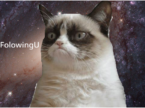 Thanks Calvin_Cat