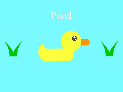 Pond Physics
