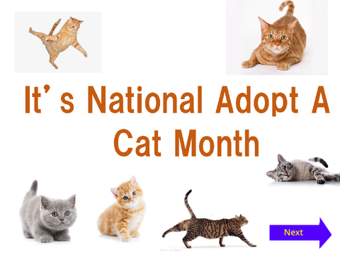 National adopt a cat month
