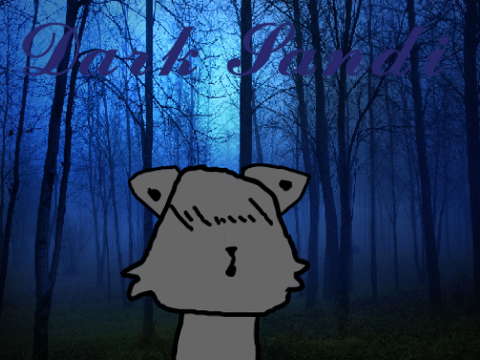D  A  R  K     S  A  N  D  I