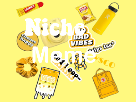 ❀Niche meme entry for @daisyy-❀