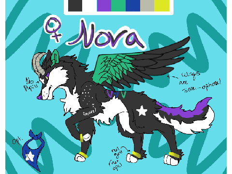 ★ Nova Reference 2020 ★