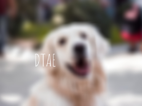 600+ DTAE