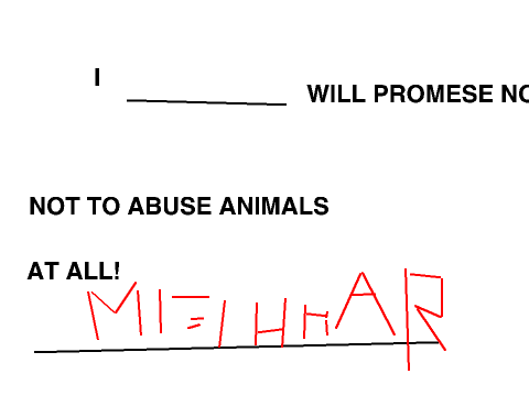STOP ANIMAL ABUSE! THEY ARE A LIVING CREATURE! 