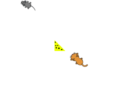 cat&Mouse