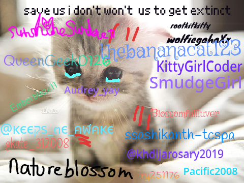 Sign if you hate animal cruelty remixed SO MUCH TIMES remix