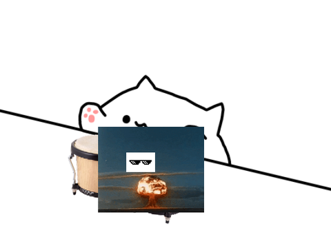 dancey cat with bongos
