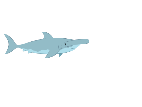 baby shark