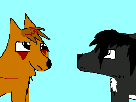 where did i go wrong, short AMV