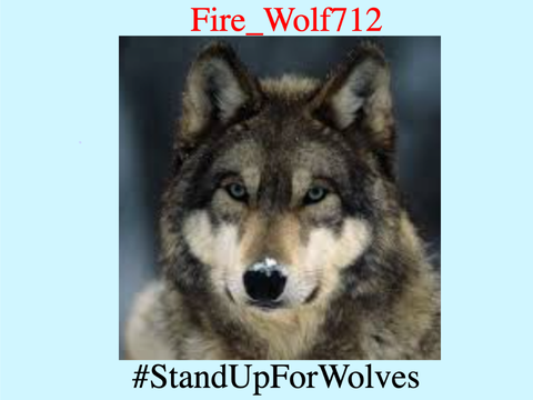SIGN IF YOU WANT TO SAVE A WOLF - Fire_Wolf712