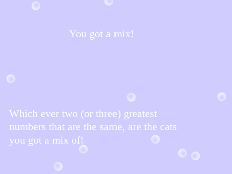 What Cat are you?  
