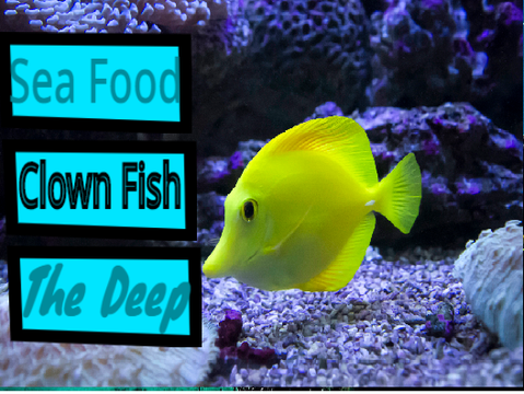 School Project- Under the Sea