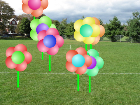 plant flowers