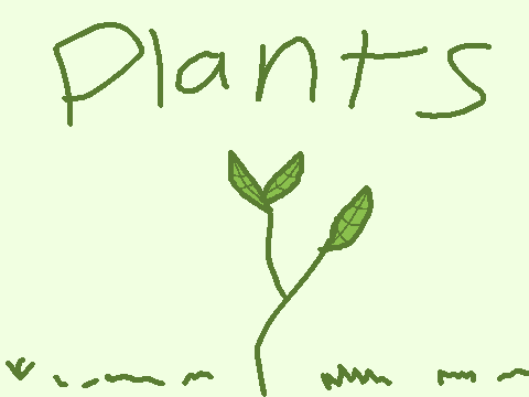 plants || An animation