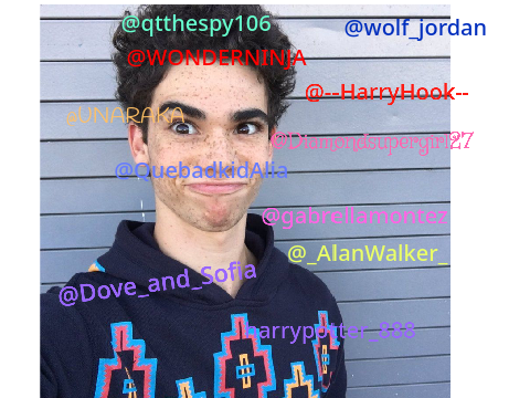 Remix and sign if you miss Cameron Boyce :( remix