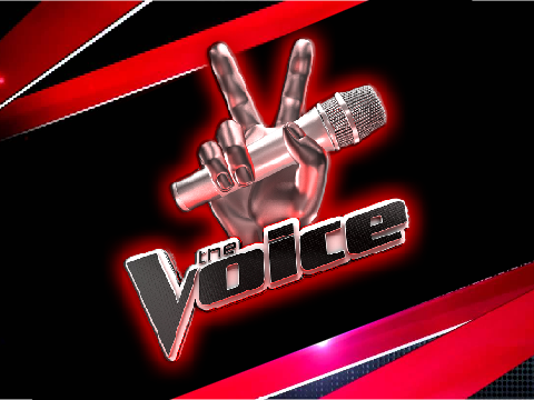  The Voice scratch 2020 DogsandPigs23 Audition