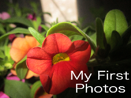 curated — my first photos