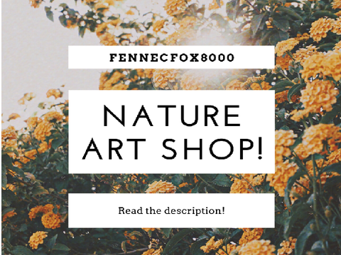 Nature Art Shop!