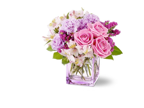 Prettiest Flowers Ever