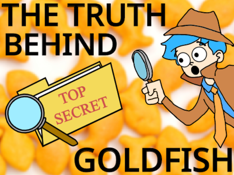 The Truth Behind Goldfish