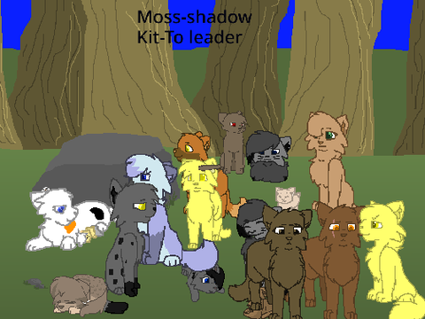 Gift for moss-shadow