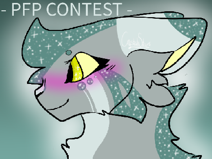- ᴘꜰᴘ ᴄᴏɴᴛᴇꜱᴛ -