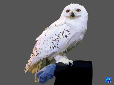 Hedwig Art Collab (Blockshade)