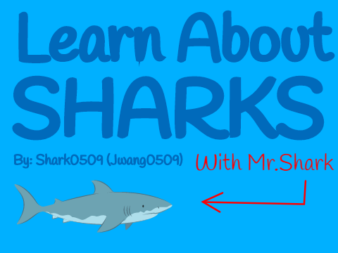 Learn About Sharks