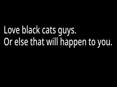 BE NICE TO BLACK CATS remix