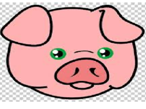 Living my Life as Peppa!