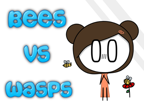 Bees vs Wasps