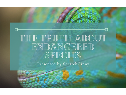 ➽ The Truth About Endangered Species ➽
