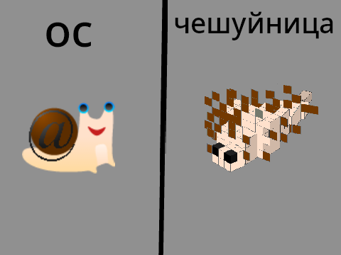 Давай принимай!