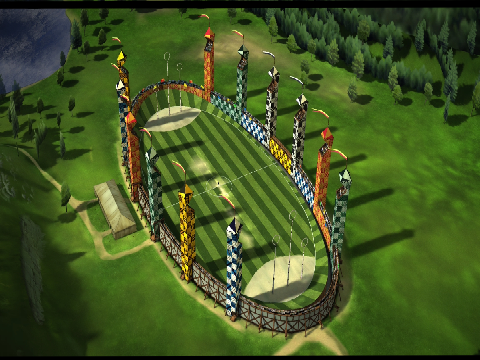 Quidditch Practice 