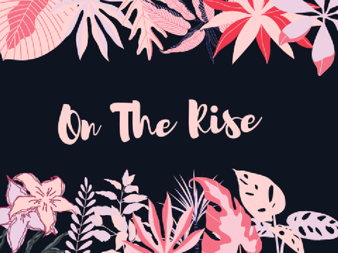 On The Rise - Coco's Audition 