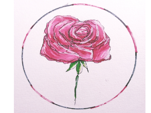 Rose★ 