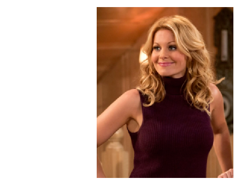 Fuller House Season One Quiz