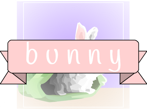 Ɛ> Bunny PFP <3