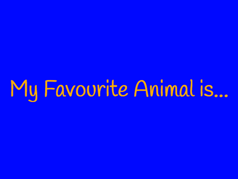 My favourite Animal