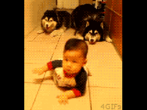 Crawling...