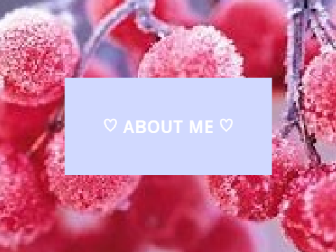 ♡ ᴀʙᴏᴜᴛ ᴍᴇ ♡