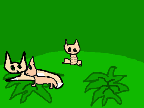 Shadows in Light- A Warrior cats Collab 