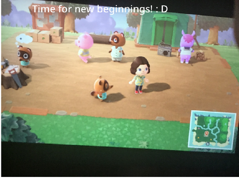 My animal crossing experience