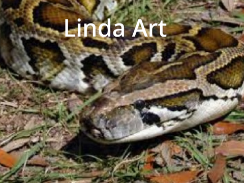 LINDA WHEEEE
