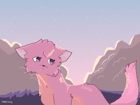 ~ Sunset DTAE ~ 