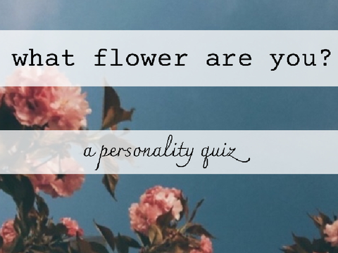 What Flower Are You?